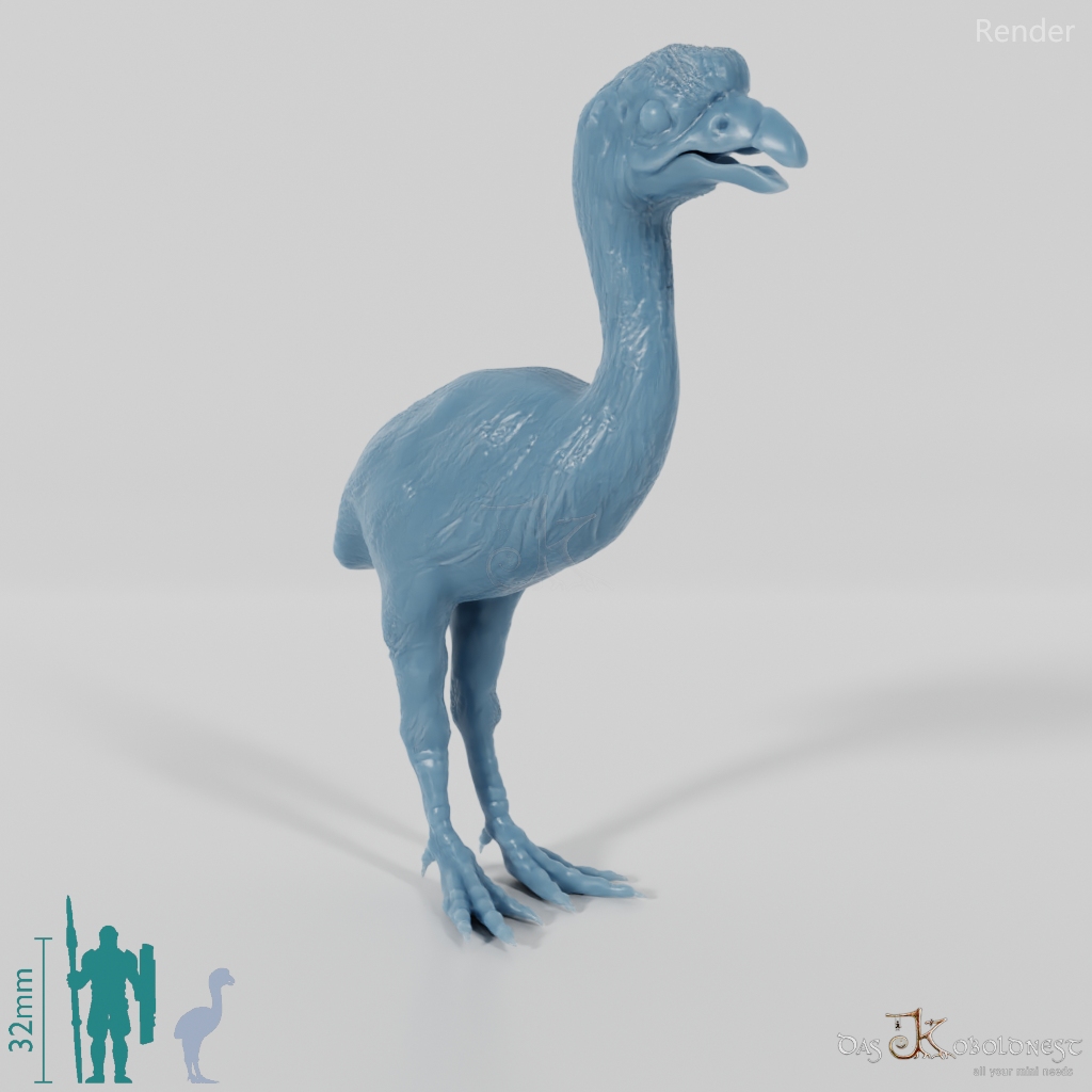 Dinornis novazaelandiae 06 (Jungtier) - JJP
