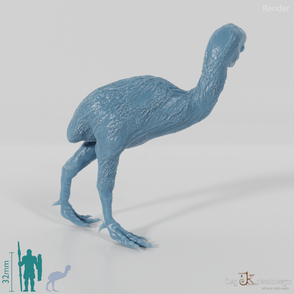 Dinornis novazaelandiae 07 (Jungtier) - JJP