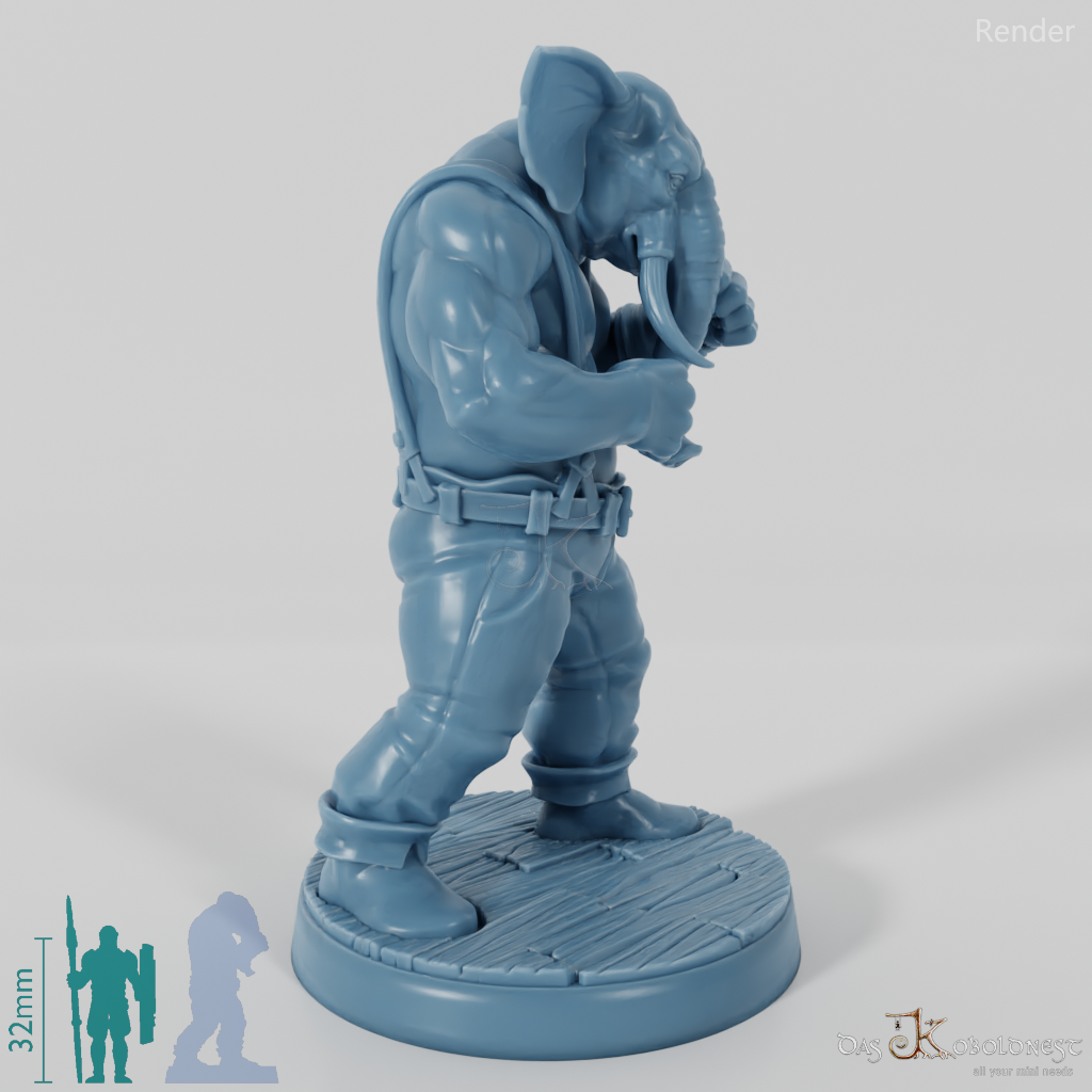 Elephant People Boxer 01