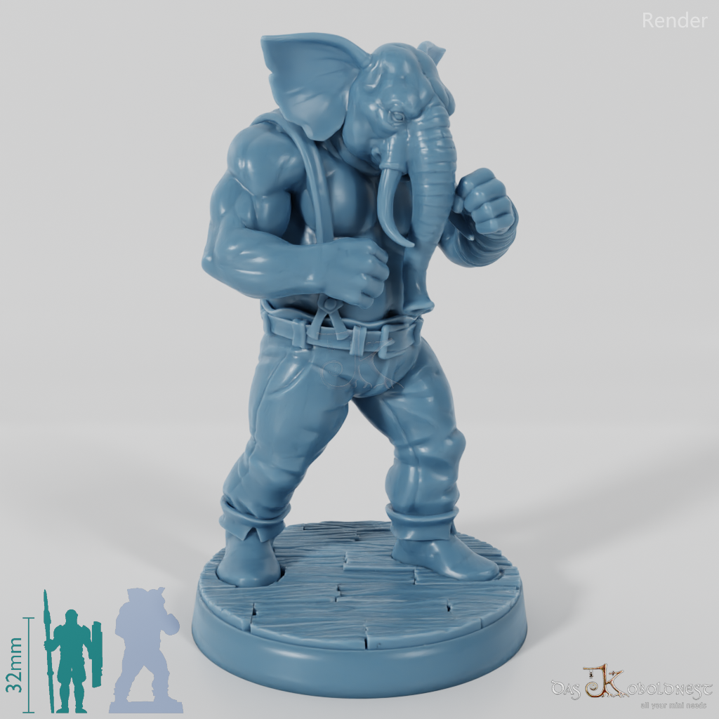 Elephant People Boxer 01