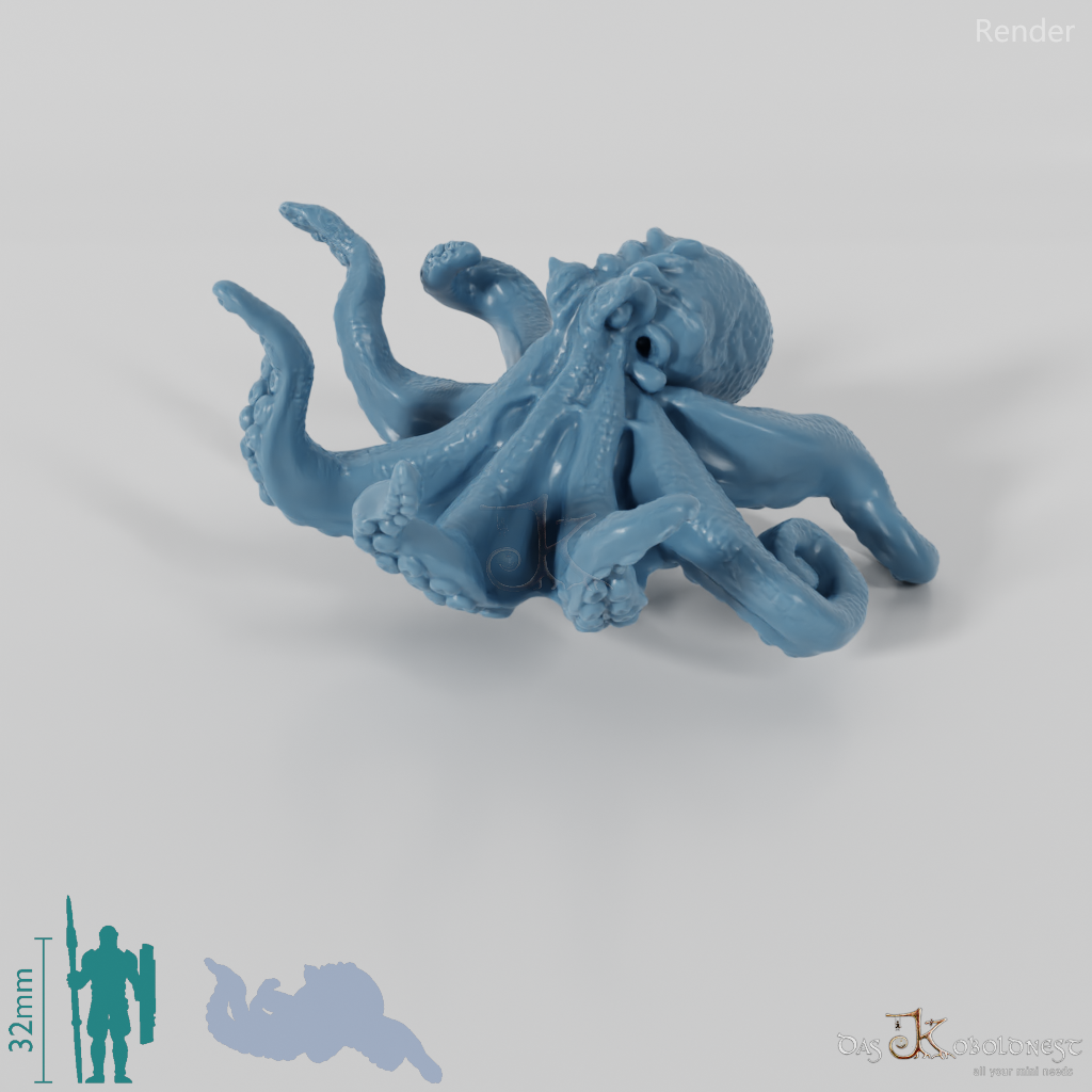 Squid - Large octopus