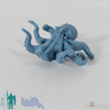 Squid - Large octopus