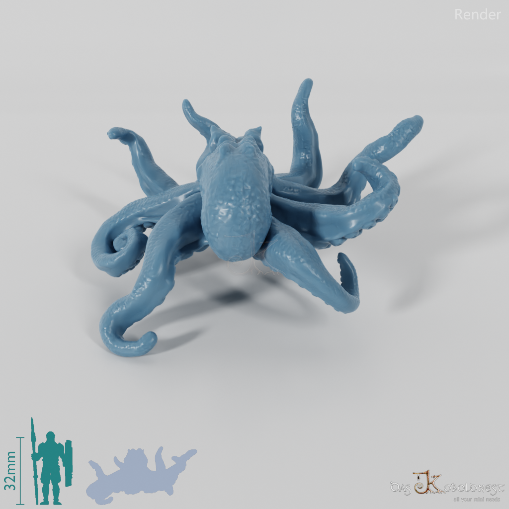 Squid - Large octopus