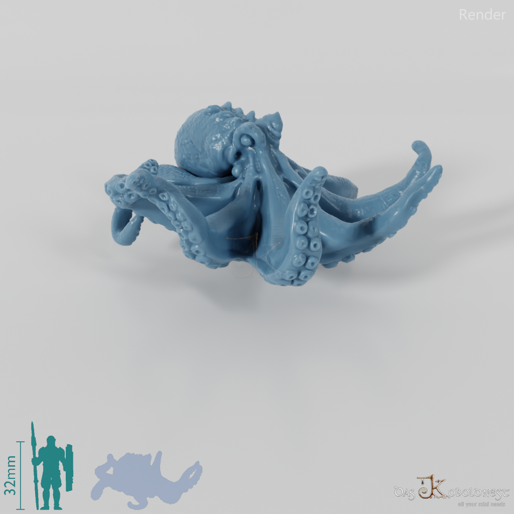 Squid - Large octopus