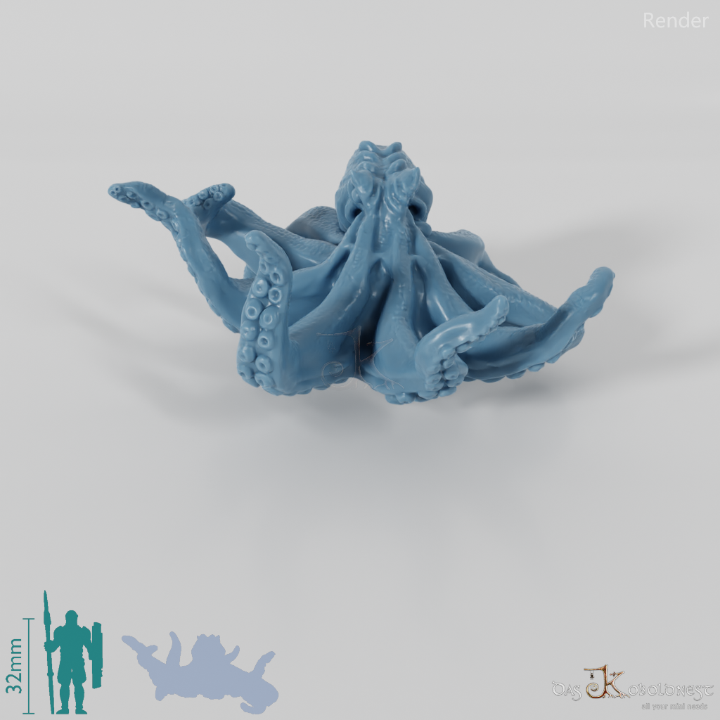 Squid - Large octopus