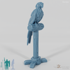 Bird - parrot on perch