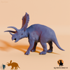 Pentaceratops sternbergii 04 - JJP