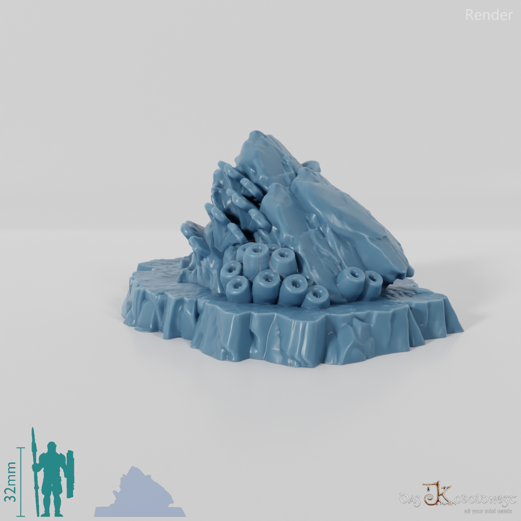 Coral-covered rocks