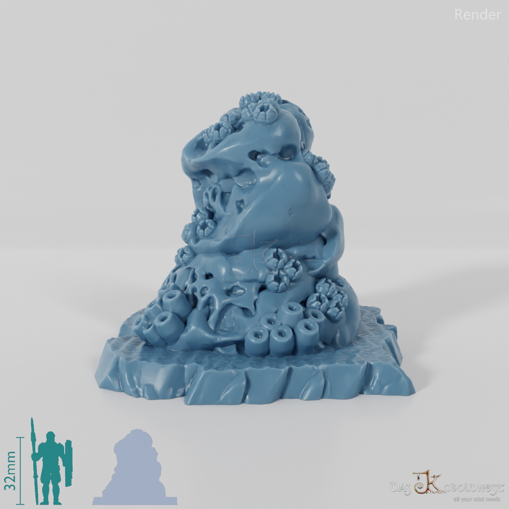 Sponge-covered rocks