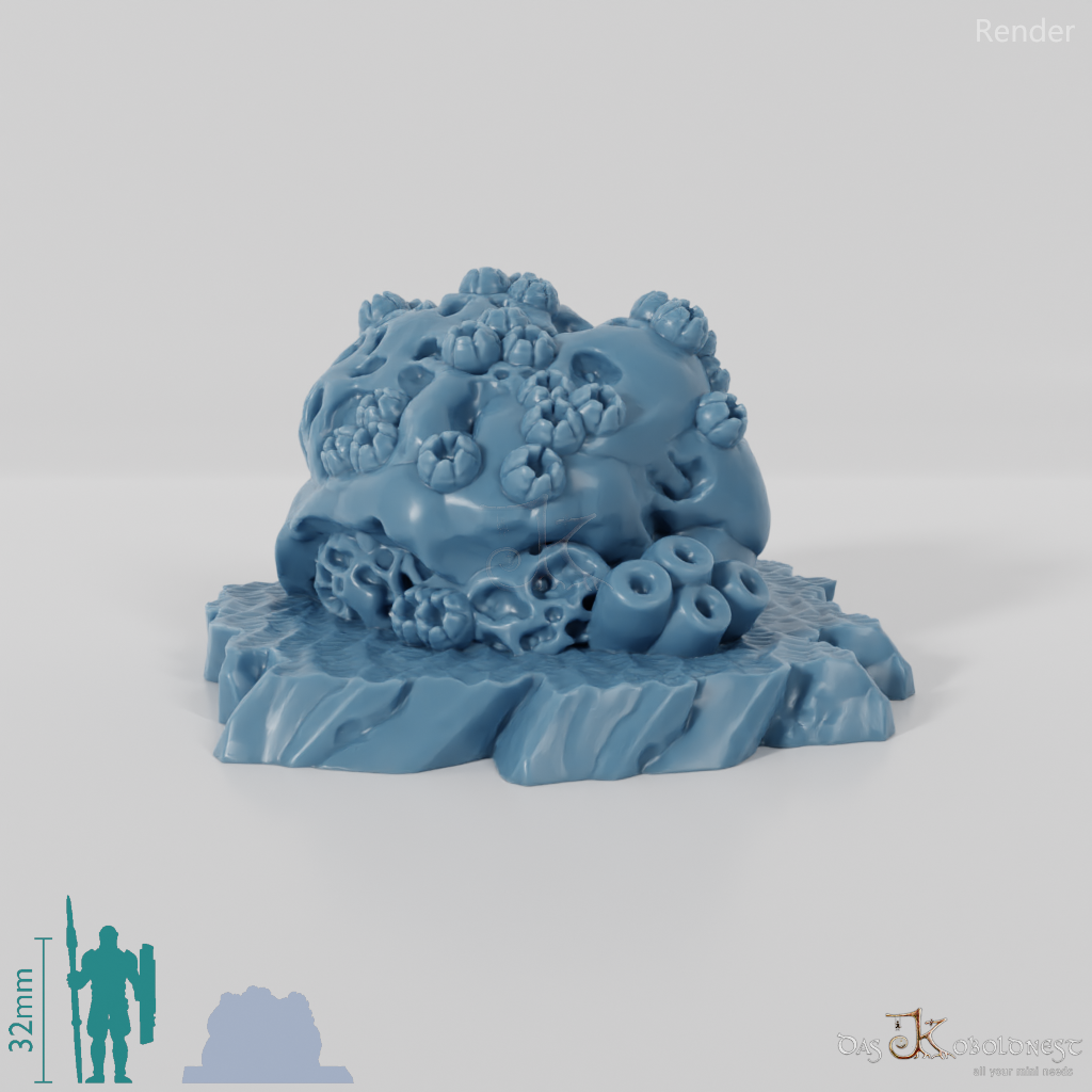 Sponge-covered rocks