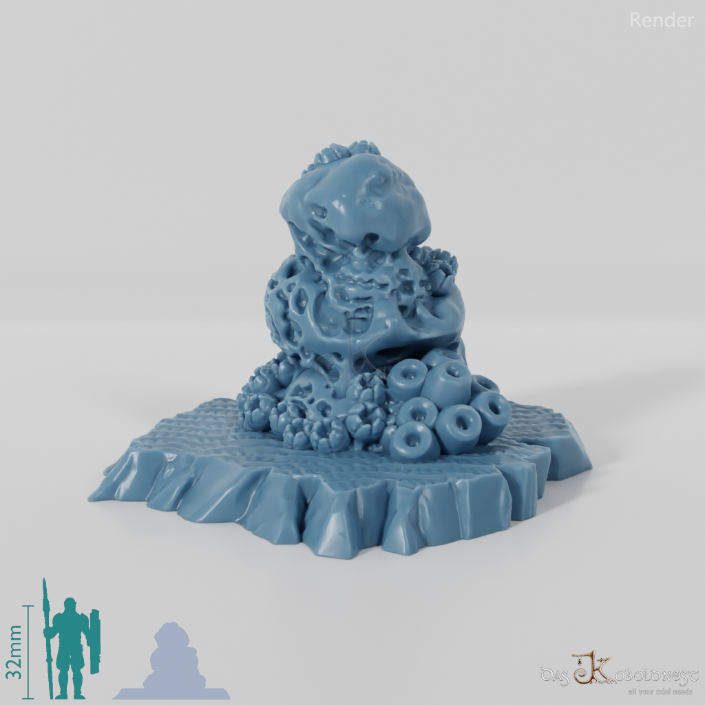 Sponge-covered rocks
