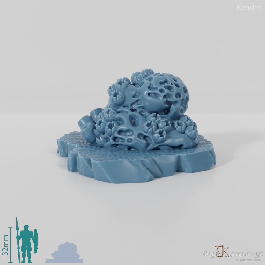 Sponge-covered rocks