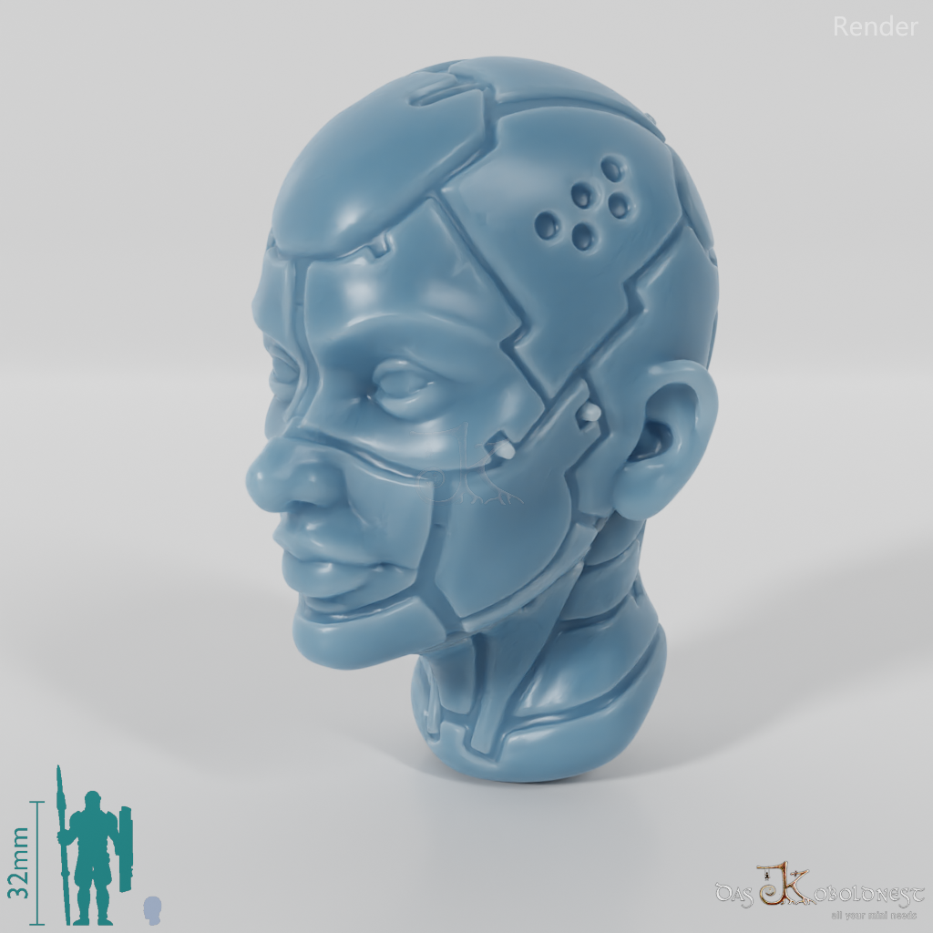Woman's Head - SciFi Android