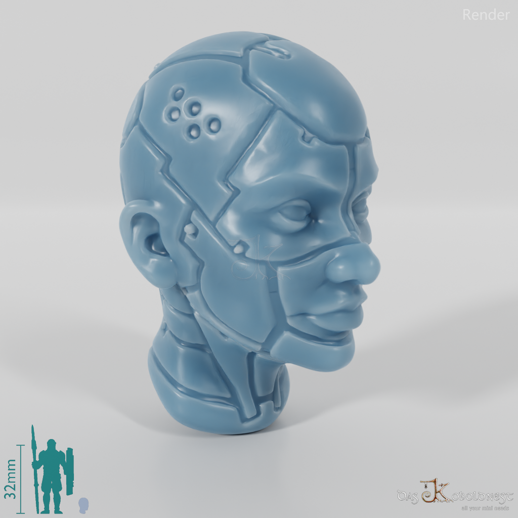 Woman's Head - SciFi Android