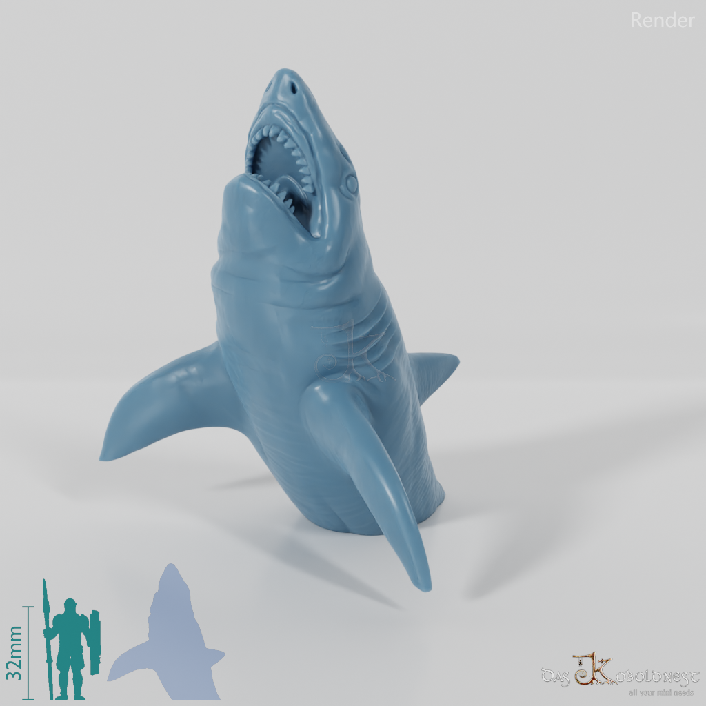 Shark - Great White Shark 02