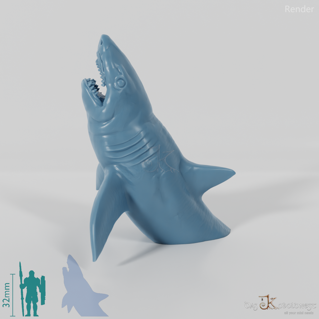 Shark - Great White Shark 02