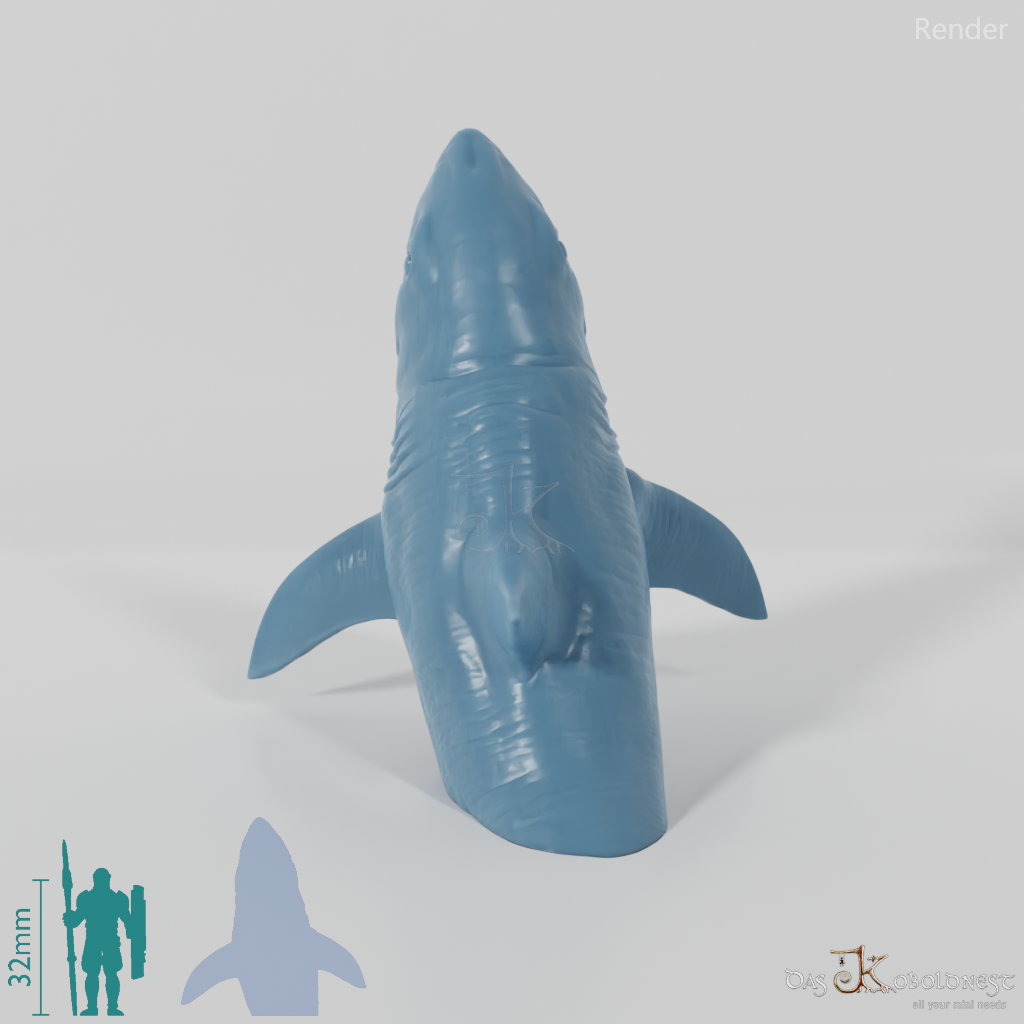 Shark - Great White Shark 02