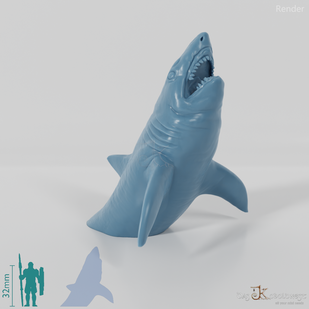 Shark - Great White Shark 02