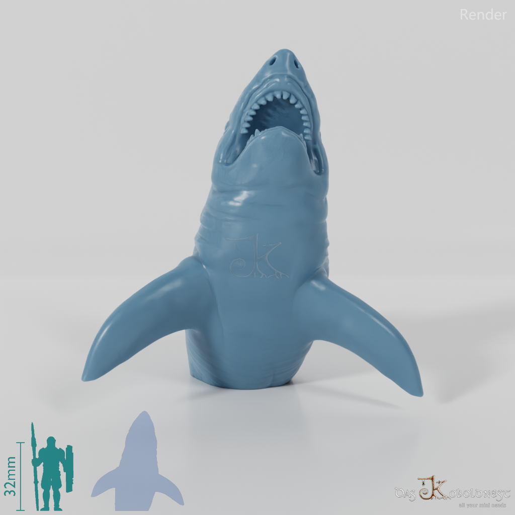 Shark - Great White Shark 02