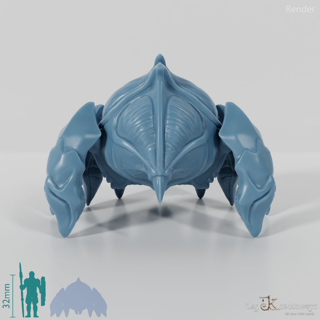 Forest spider 01