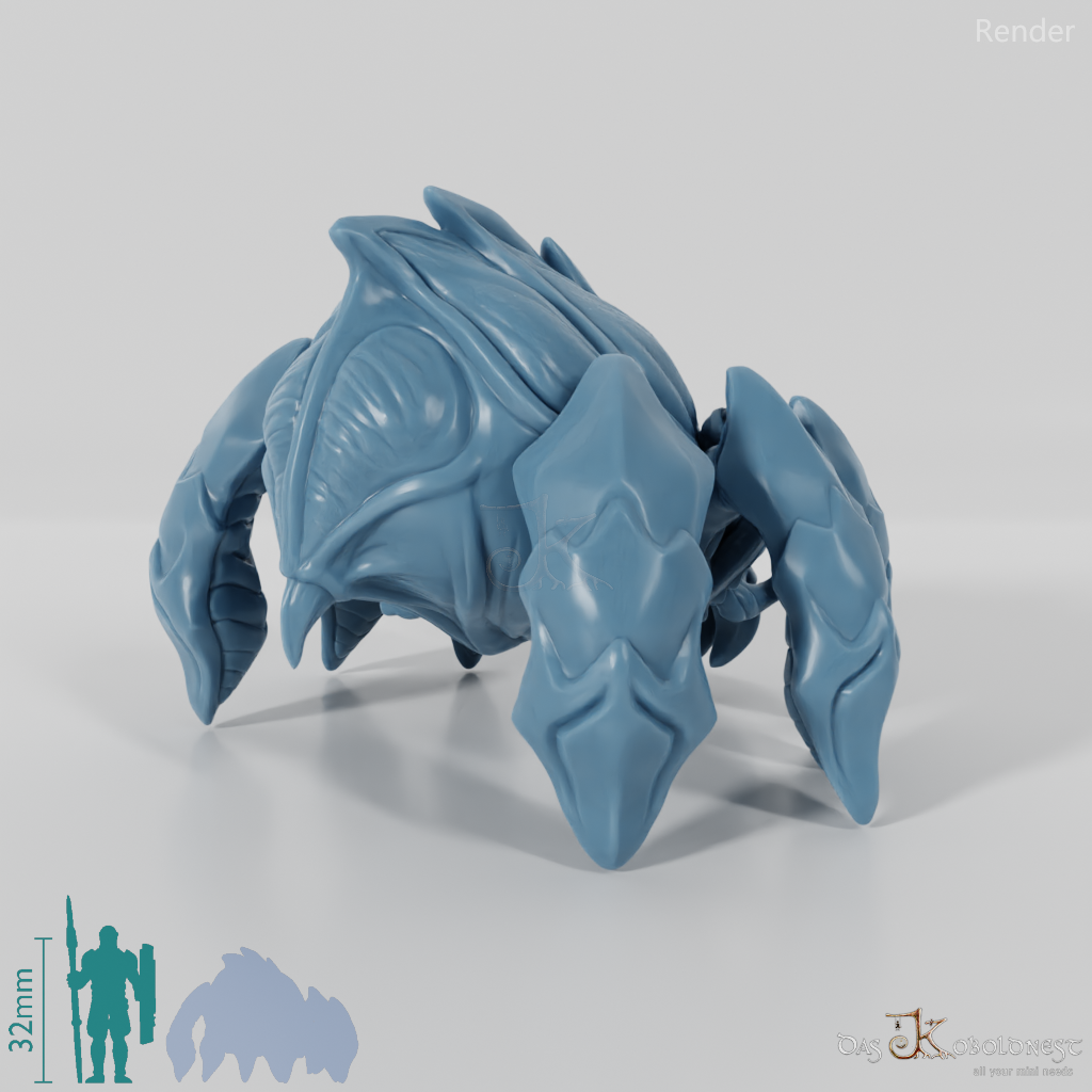 Forest spider 01