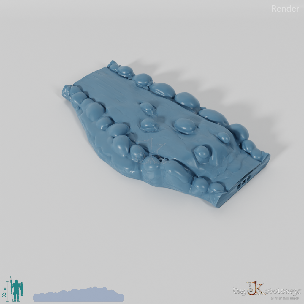 Modular flow (winter)