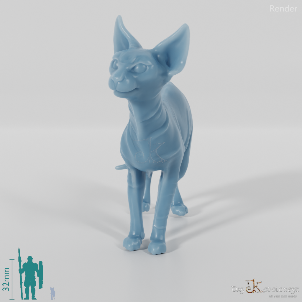 Cat - Ursula, standing Sphynx