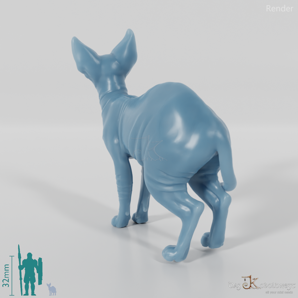 Cat - Ursula, standing Sphynx