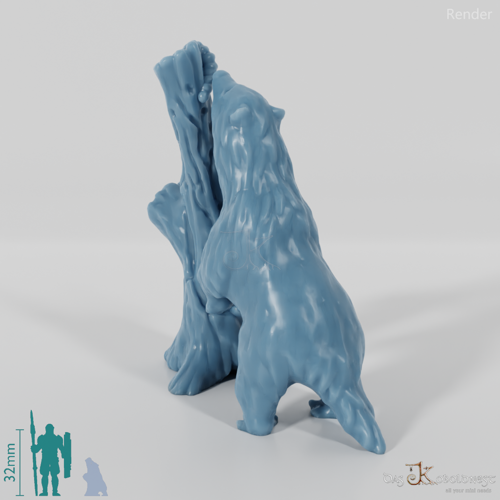 Badger - Foraging badger