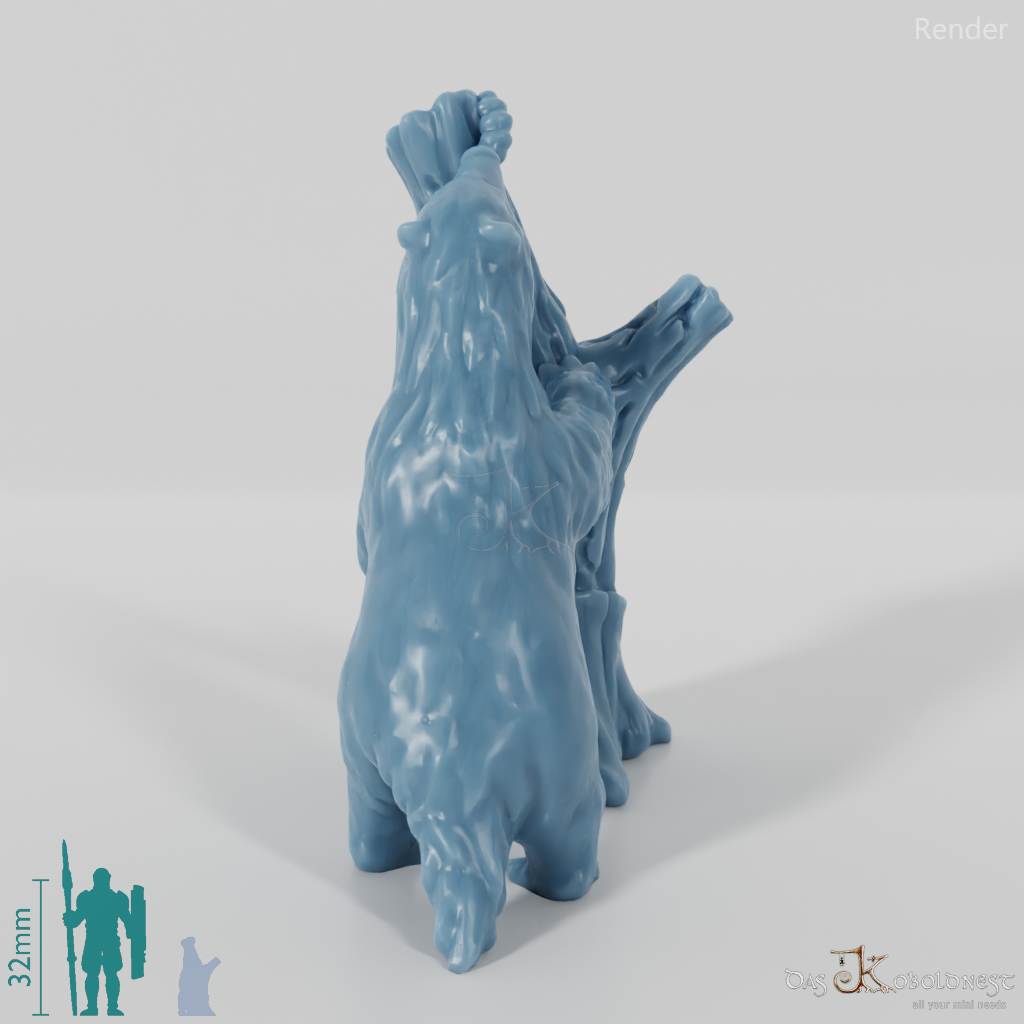 Badger - Foraging badger