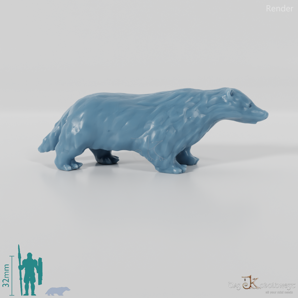 Badger - Standing