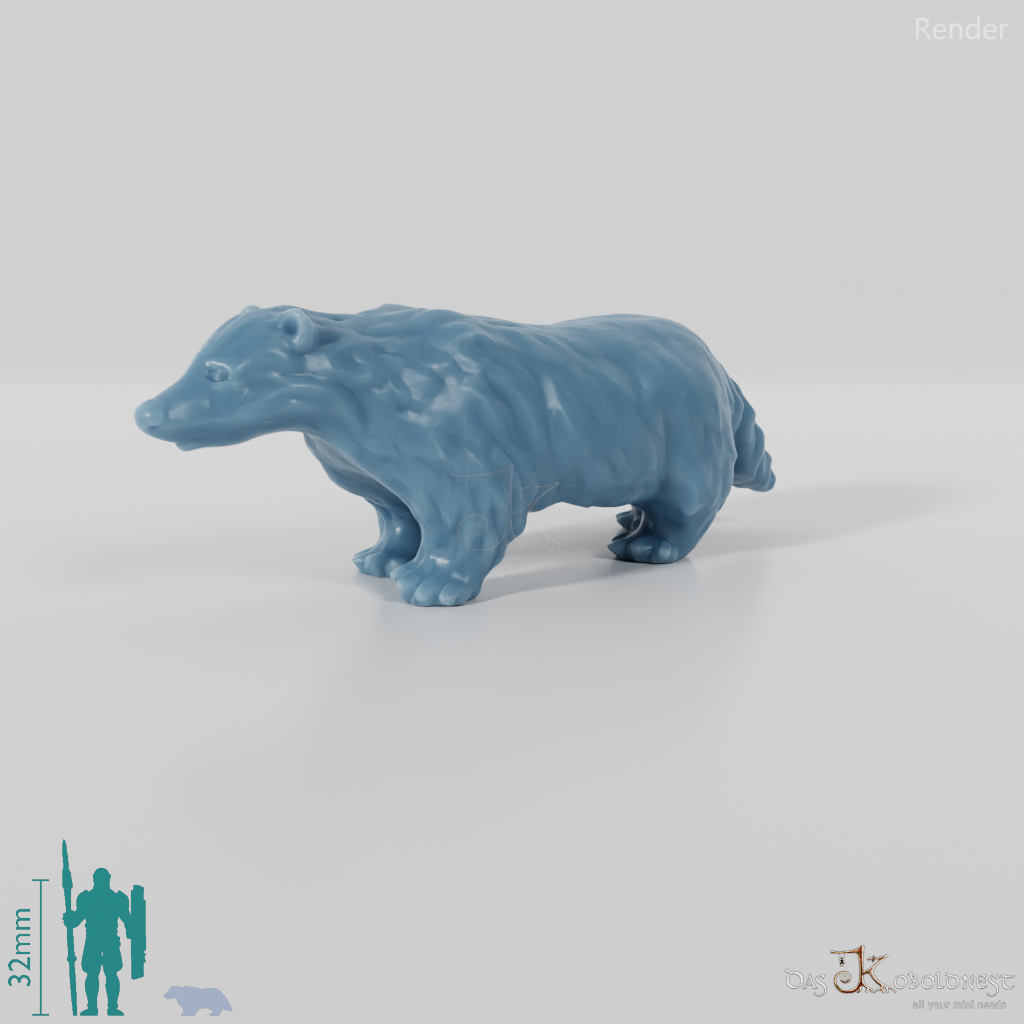 Badger - Standing