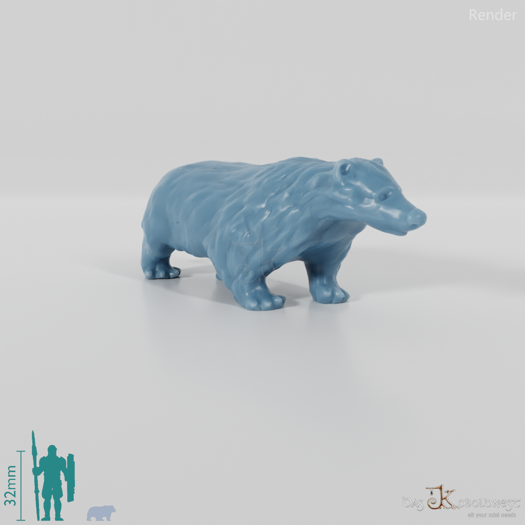 Badger - Standing