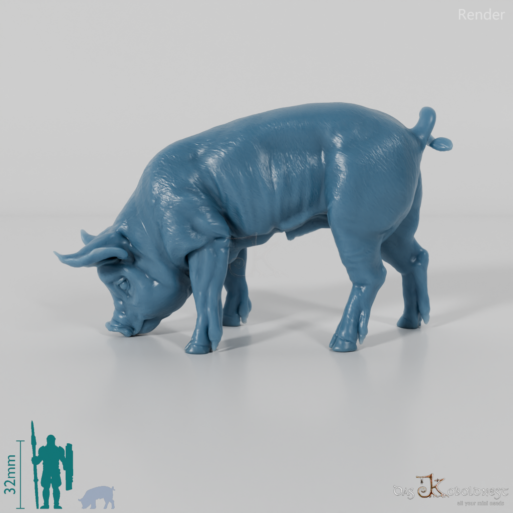 Schwein - Berkshire-Ferkel 02