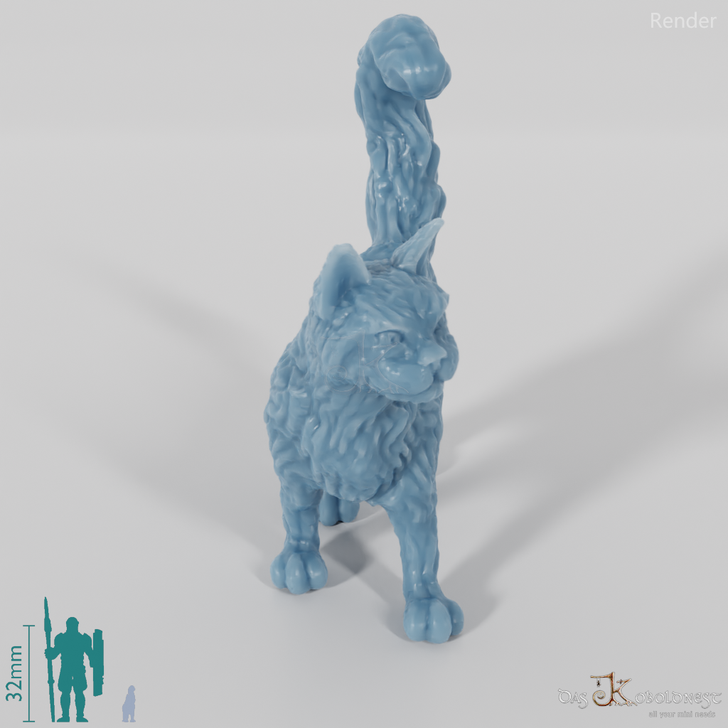 Cat - Interested cat