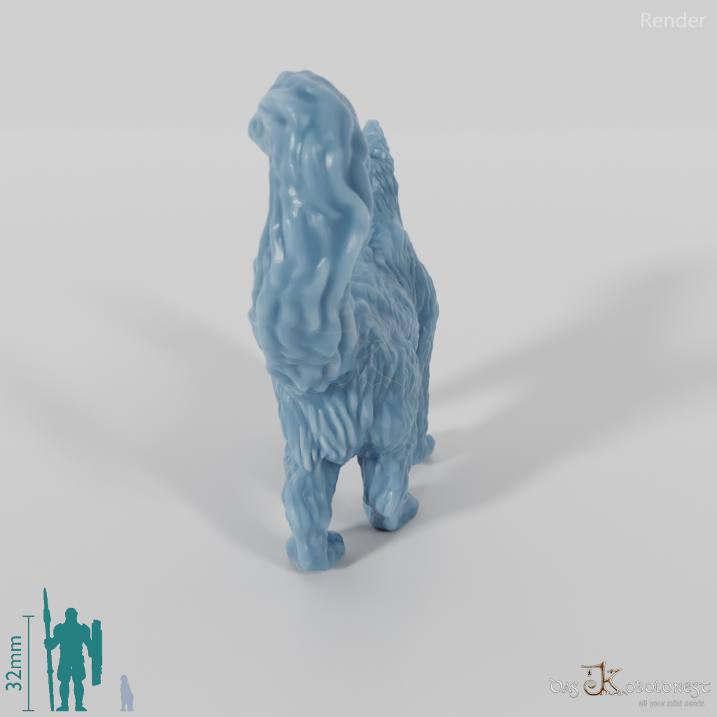 Cat - Interested cat