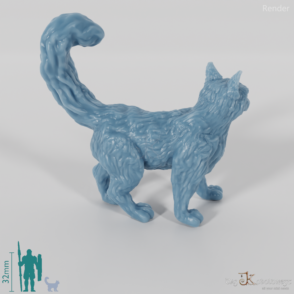 Cat - Interested cat