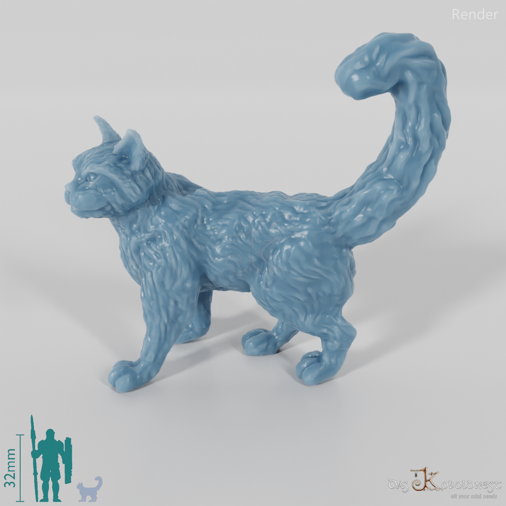 Cat - Interested cat