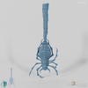 Riesenspinne B