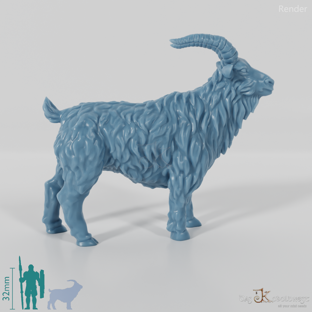 Ziege - Neugieriger Ziegenbock