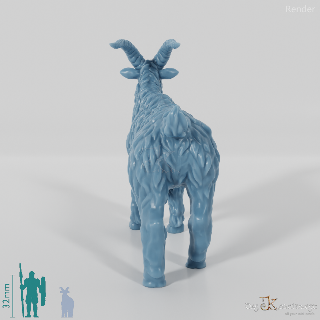 Ziege - Neugieriger Ziegenbock