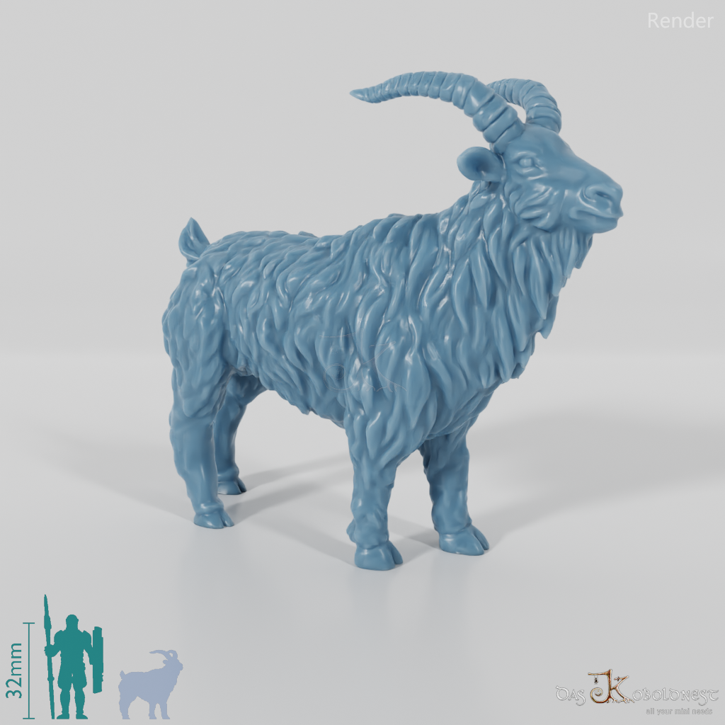 Ziege - Neugieriger Ziegenbock