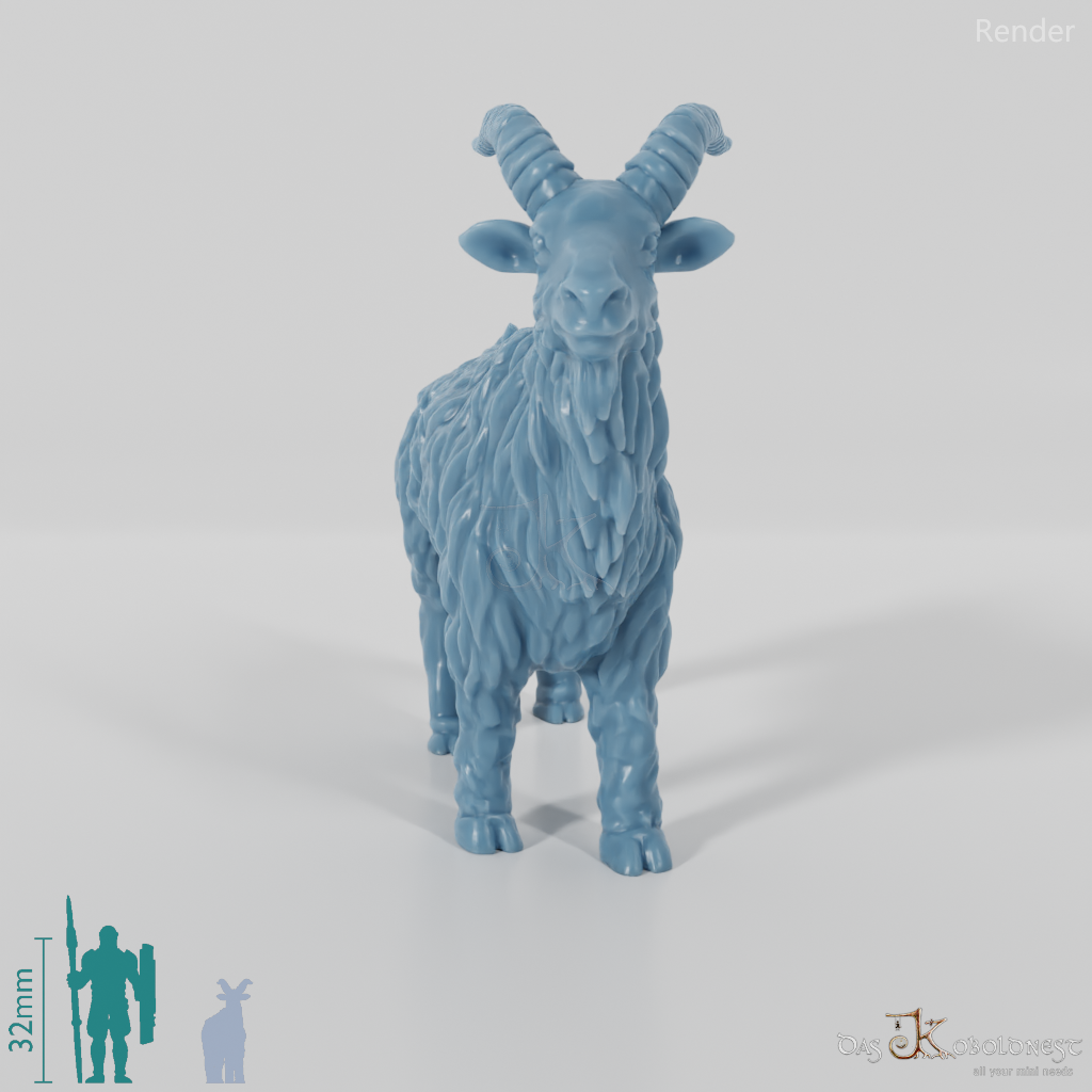 Ziege - Neugieriger Ziegenbock