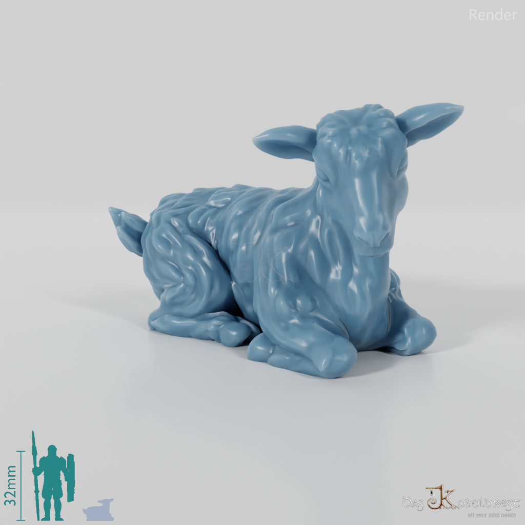 Ziege - Liegendes Zicklein