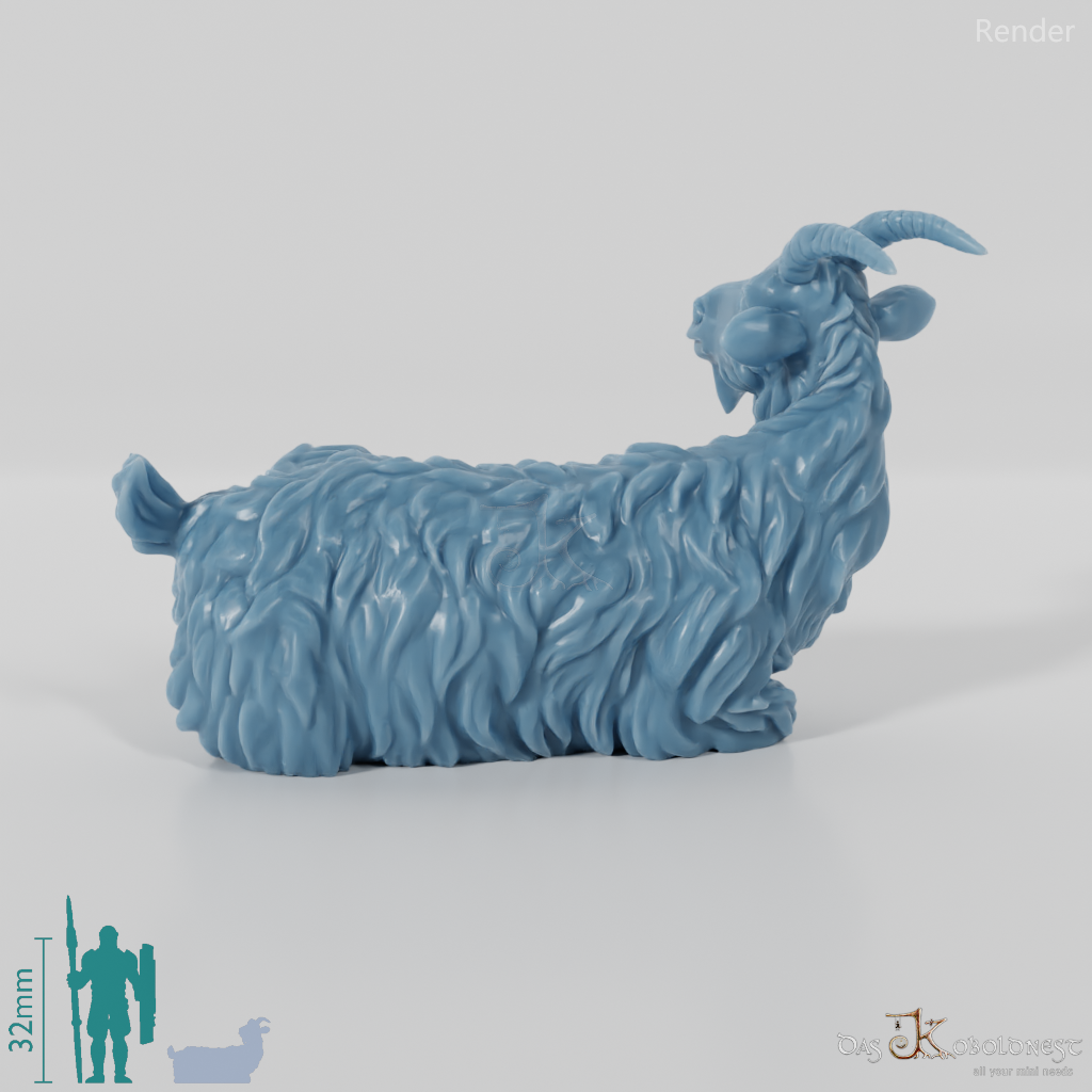 Ziege - Liegende Ziege