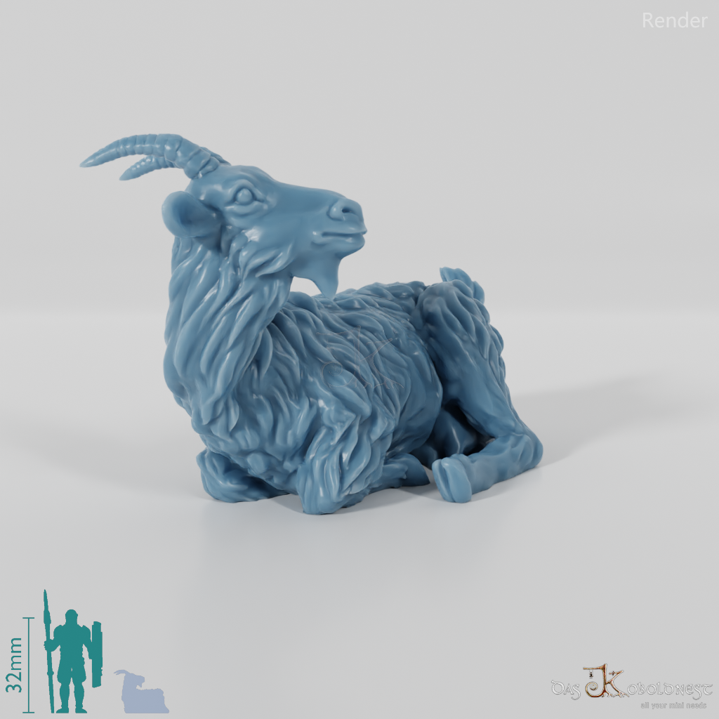 Ziege - Liegende Ziege