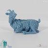Goat - Lying goat