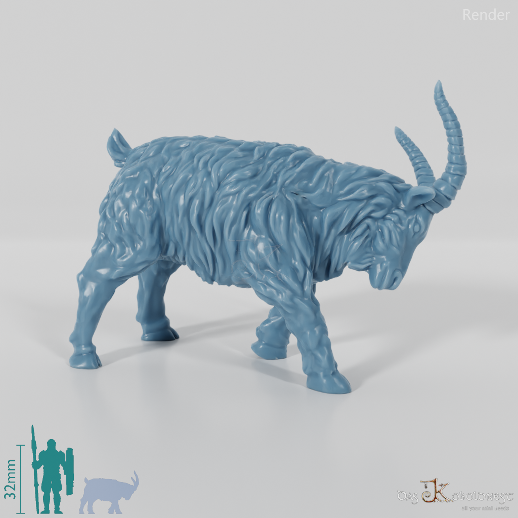 Ziege - Sturer Ziegenbock