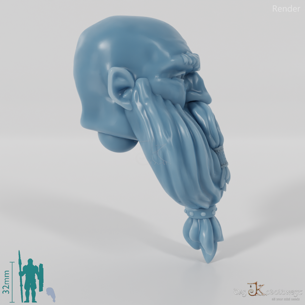 Dwarf Head - Male with bald head and long beard