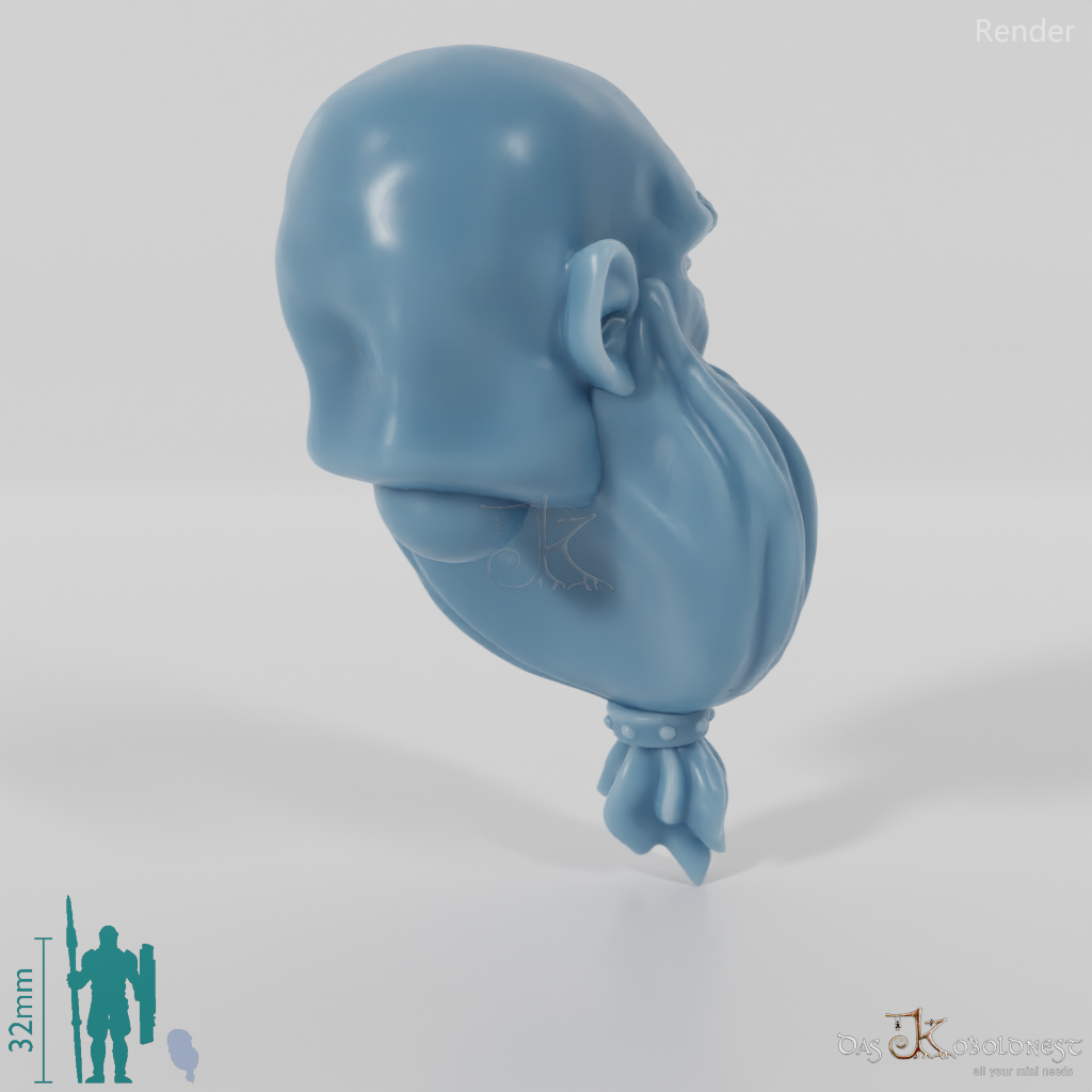 Dwarf Head - Male with bald head and long beard